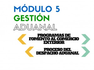 Módulo 1 (2)